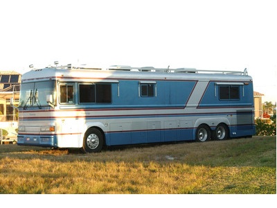 Blue Bird 1991