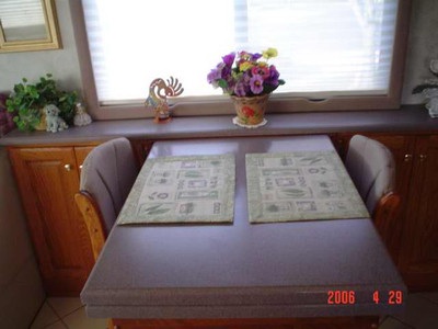 1999 Monaco Windsor