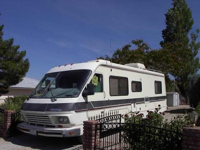 1988 Dolphin 31 Class A