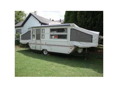 palomino pop up