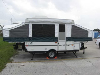 2004 PALOMINO Yearling 4103