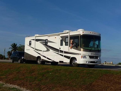 2009 Forest River Georgetown SE in Flori